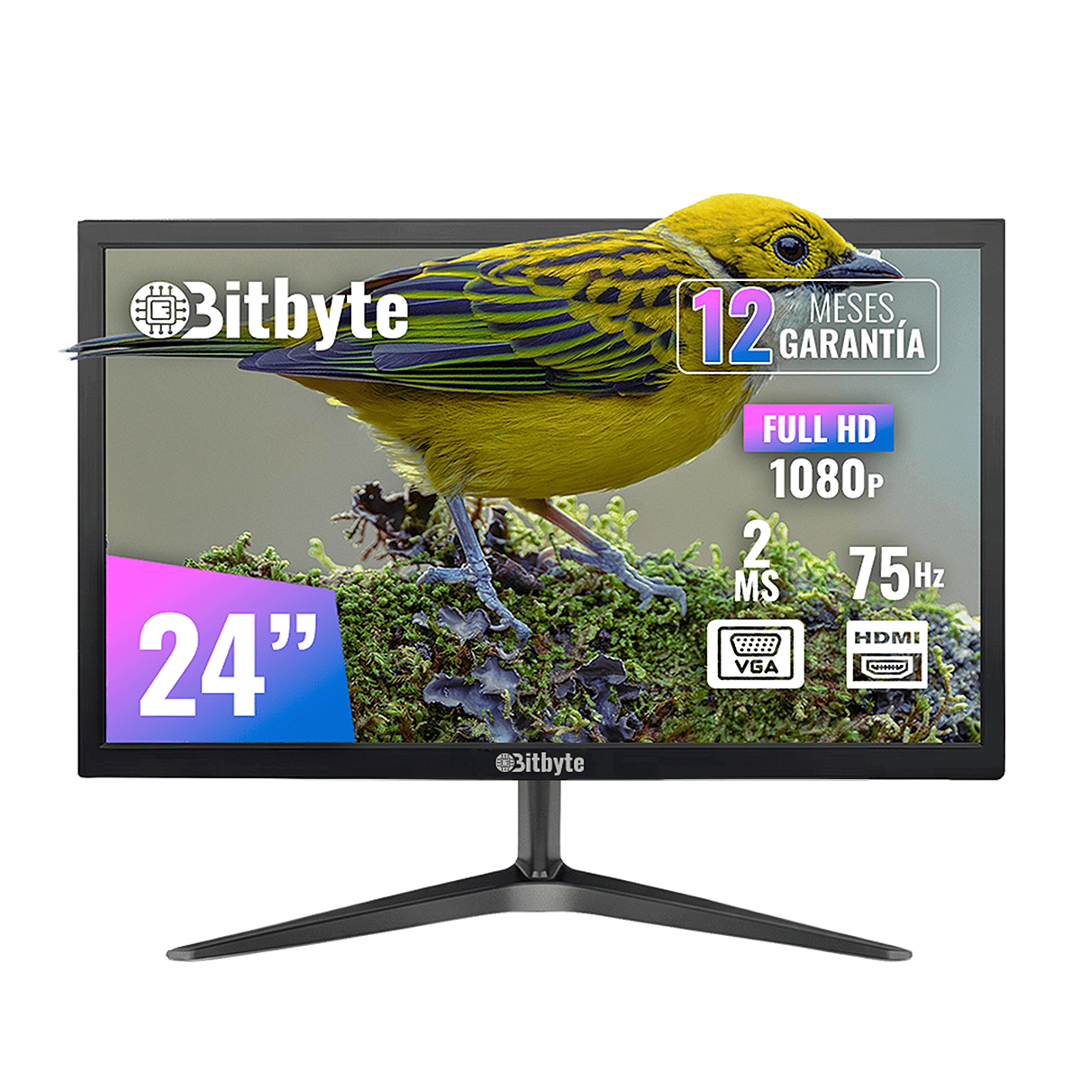 Monitor Bitbyte 24″ Full HD (1920×1080)