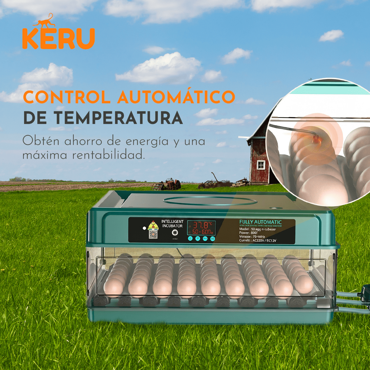 Incubadora Automática KERU 48 Huevos con Volteo, Control de Temperatura y Doble Alimentación