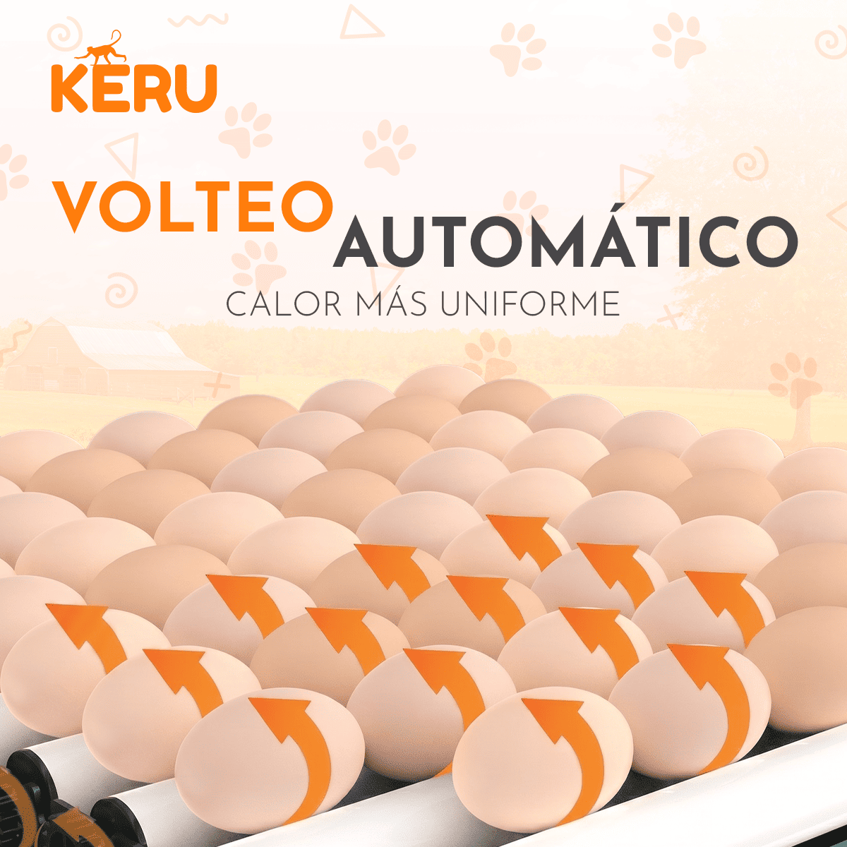 Incubadora Automática KERU 48 Huevos con Volteo, Control de Temperatura y Doble Alimentación