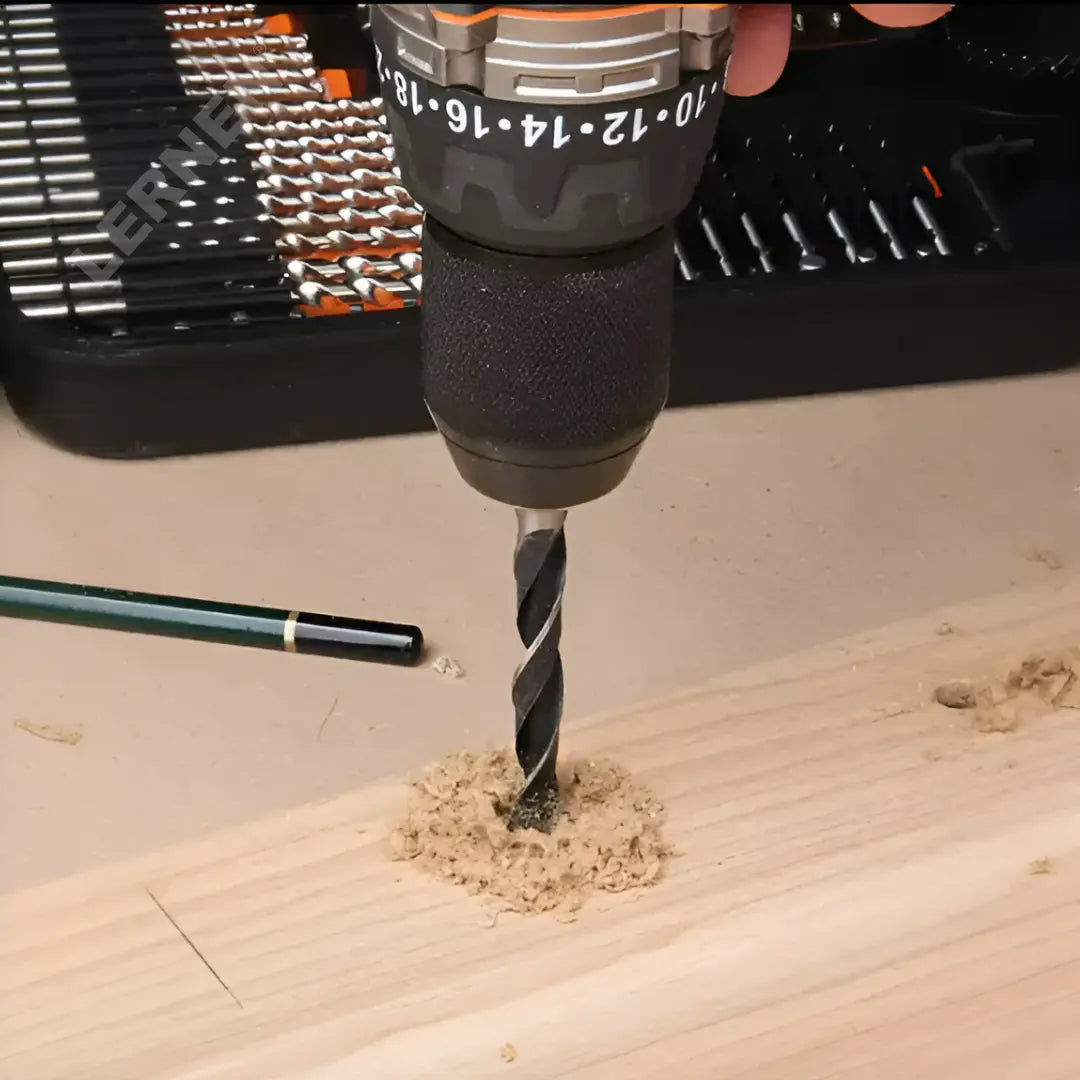 Maletín De 246 Puntas De Taladro, Brocas y Dados Lernen