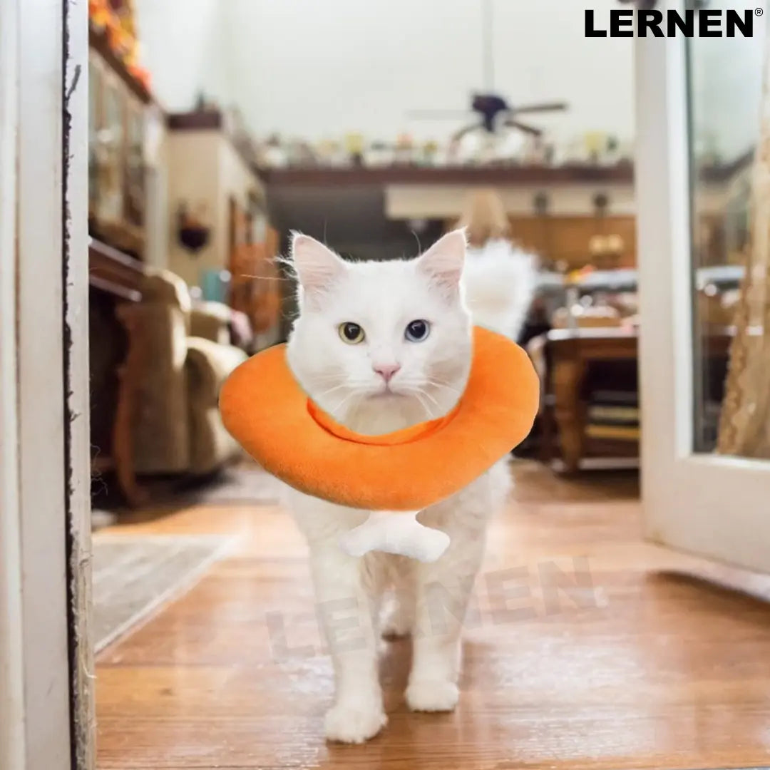 Collar Isabelino para Gatos - Pollo Keru