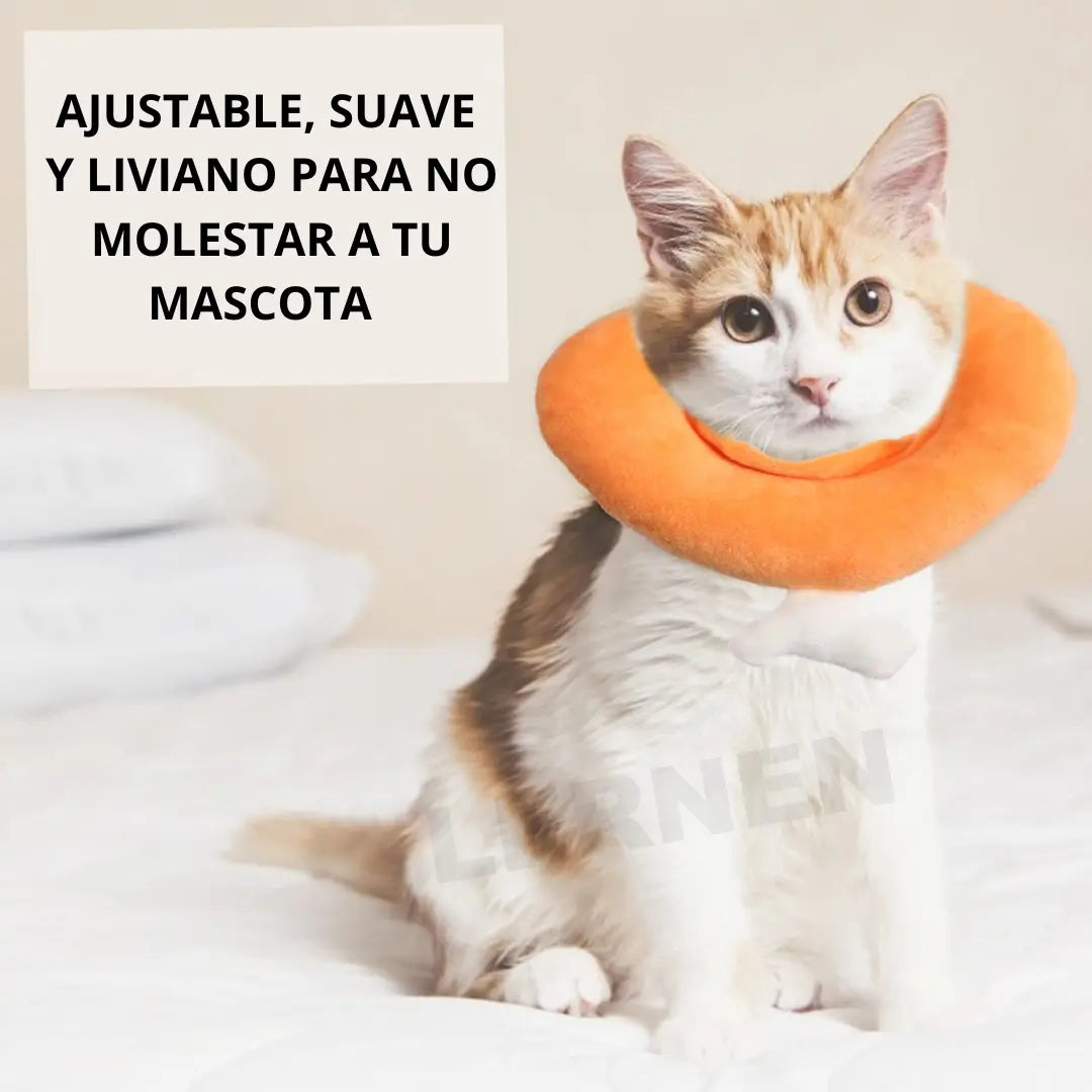 Collar Isabelino para Gatos - Pollo Keru