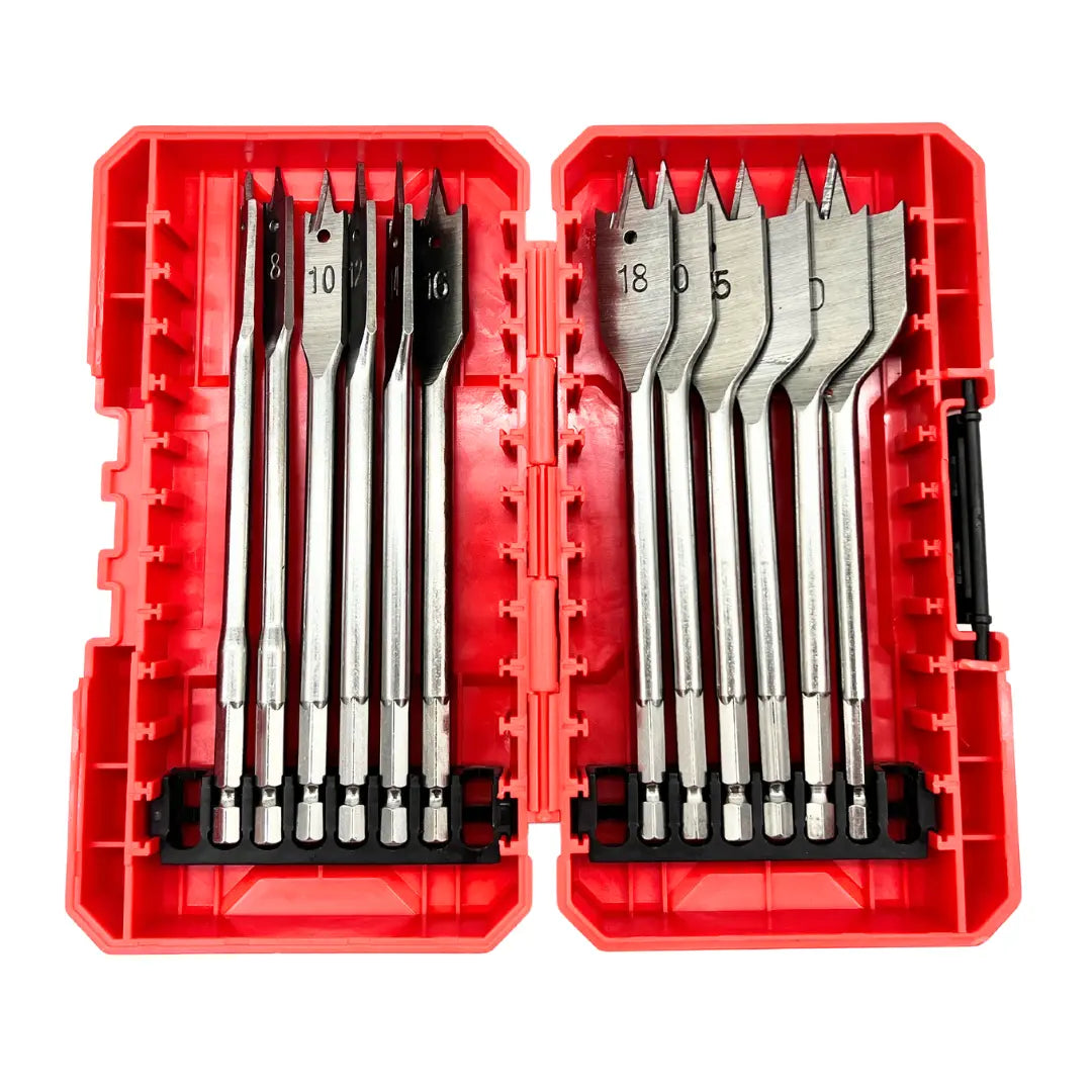 SET 12 BROCAS PALETA Lernen