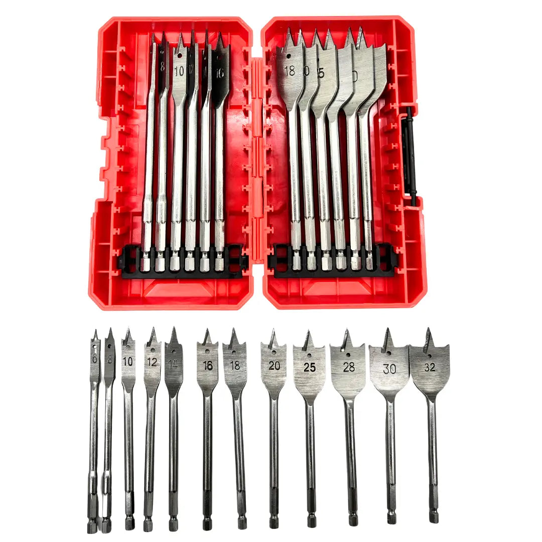 SET 12 BROCAS PALETA Lernen