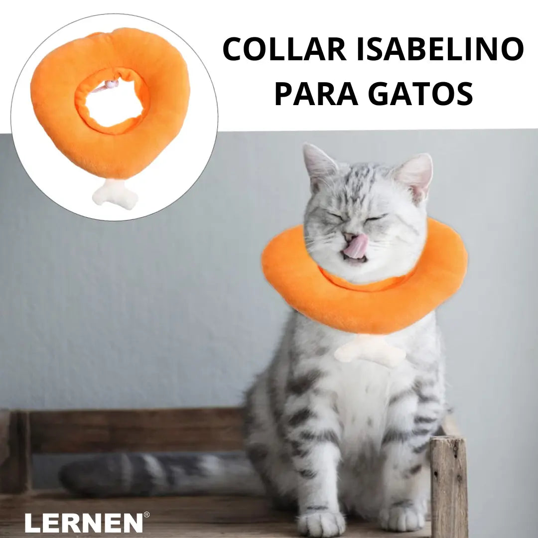 Collar Isabelino para Gatos - Pollo Keru
