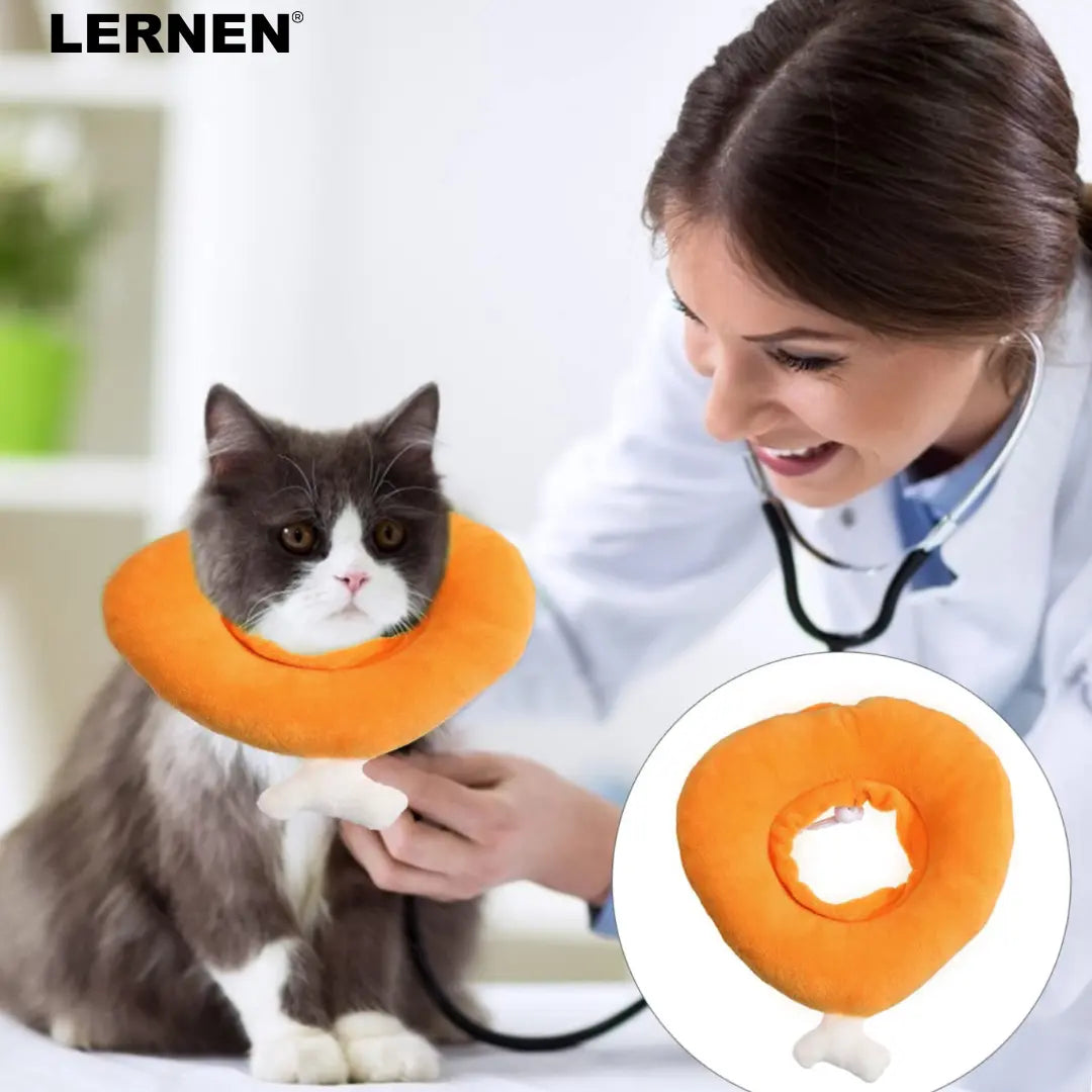 Collar Isabelino para Gatos - Pollo Keru