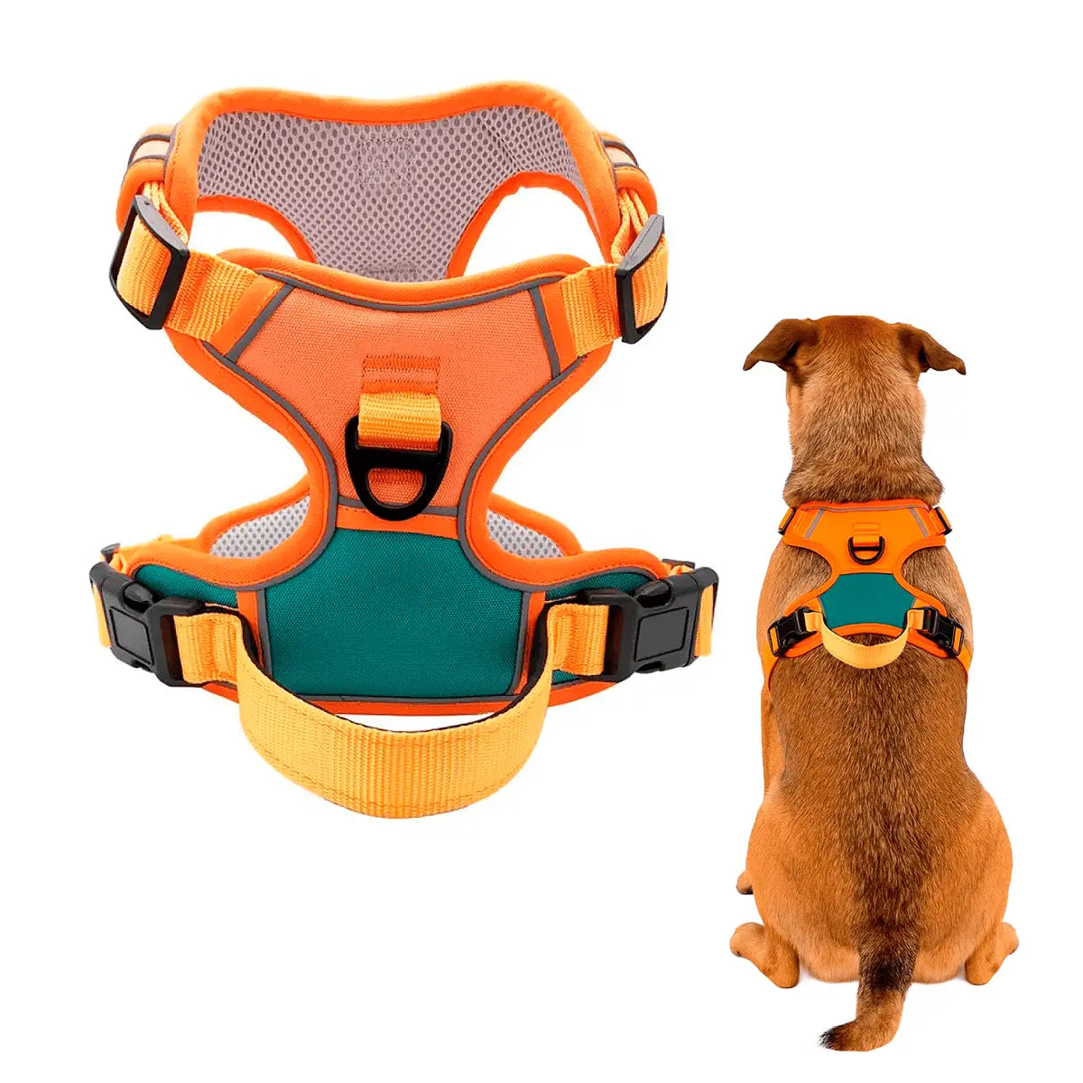 Arnes Mascota Naranjo - Varias Tallas Keru