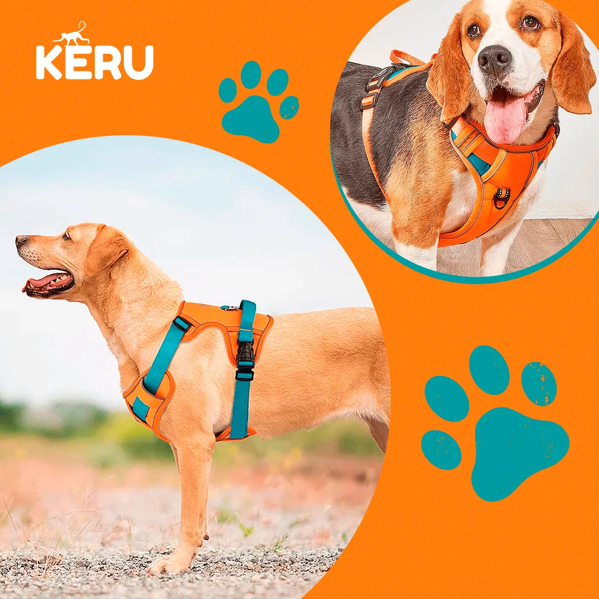 Arnes Mascota Naranjo - Varias Tallas Keru