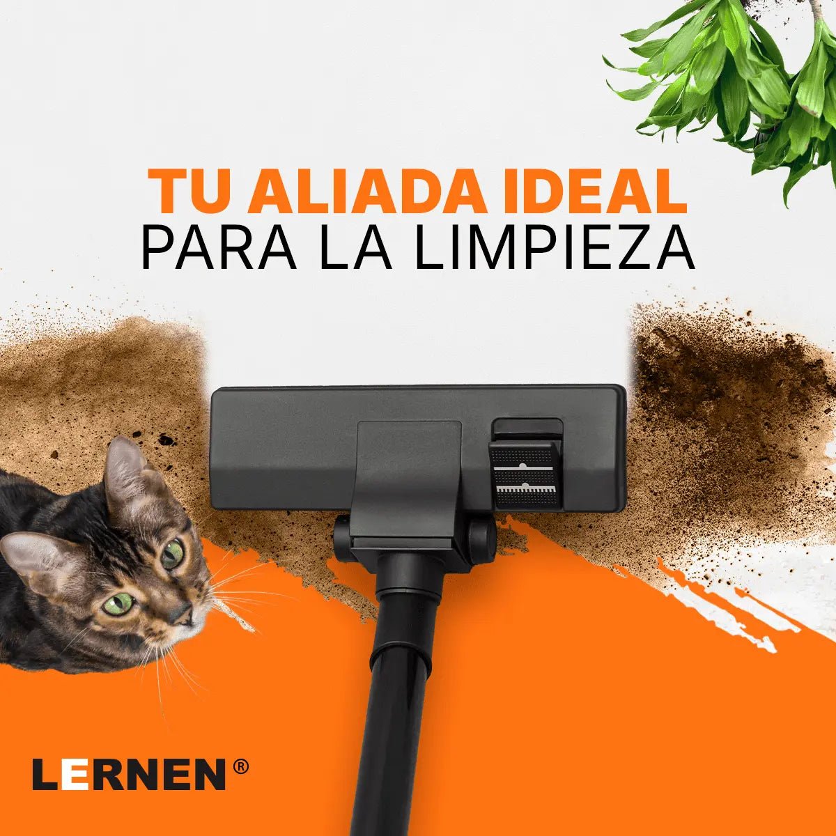 Aspiradora LERNEN Multifunción Metálica Polvo Agua 30 Litros 1500w Lernen