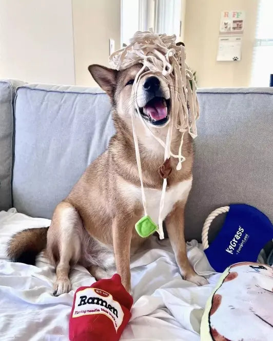 Juguete de peluche interactivo para mascotas - Ramen Keru