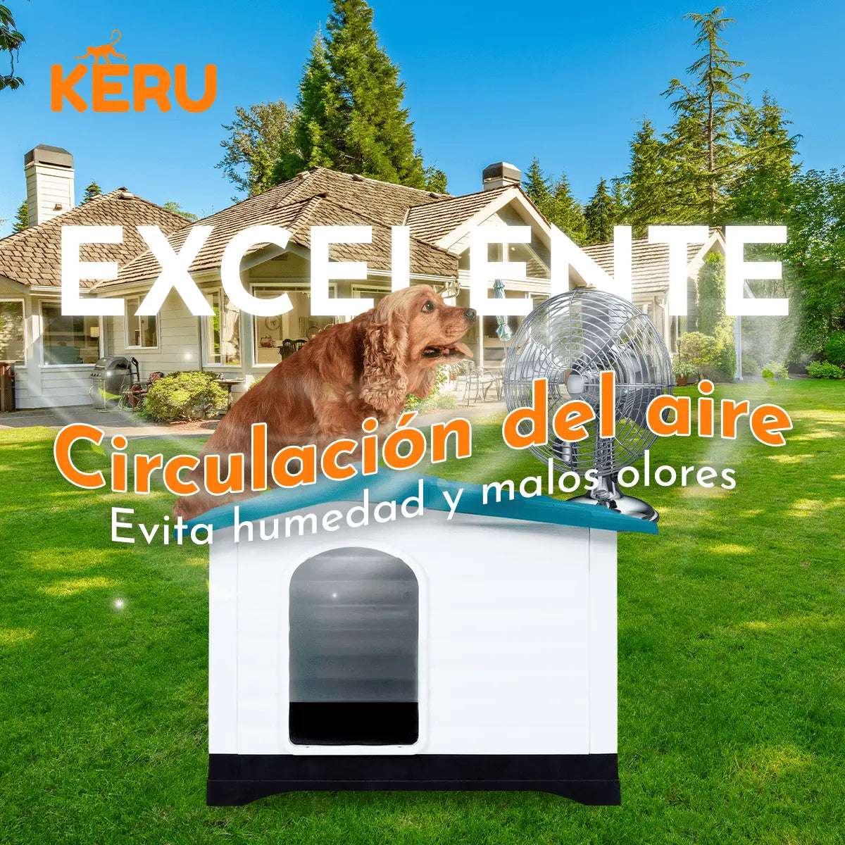 Casa para Perro Rectangular Keru