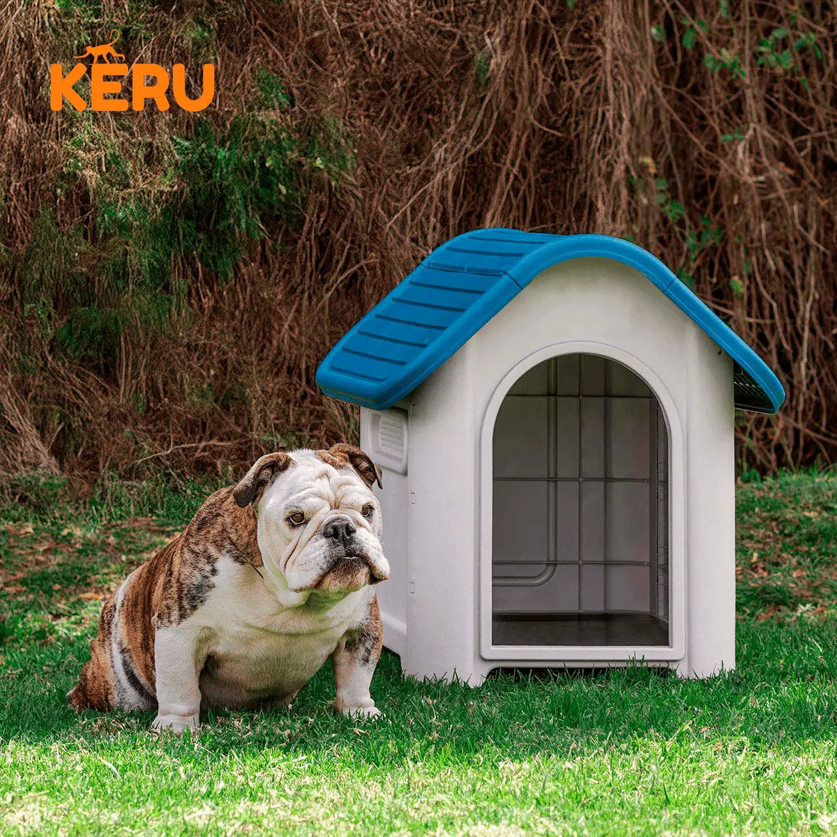 Casa para Perro con Ventana y Techo Azul Keru