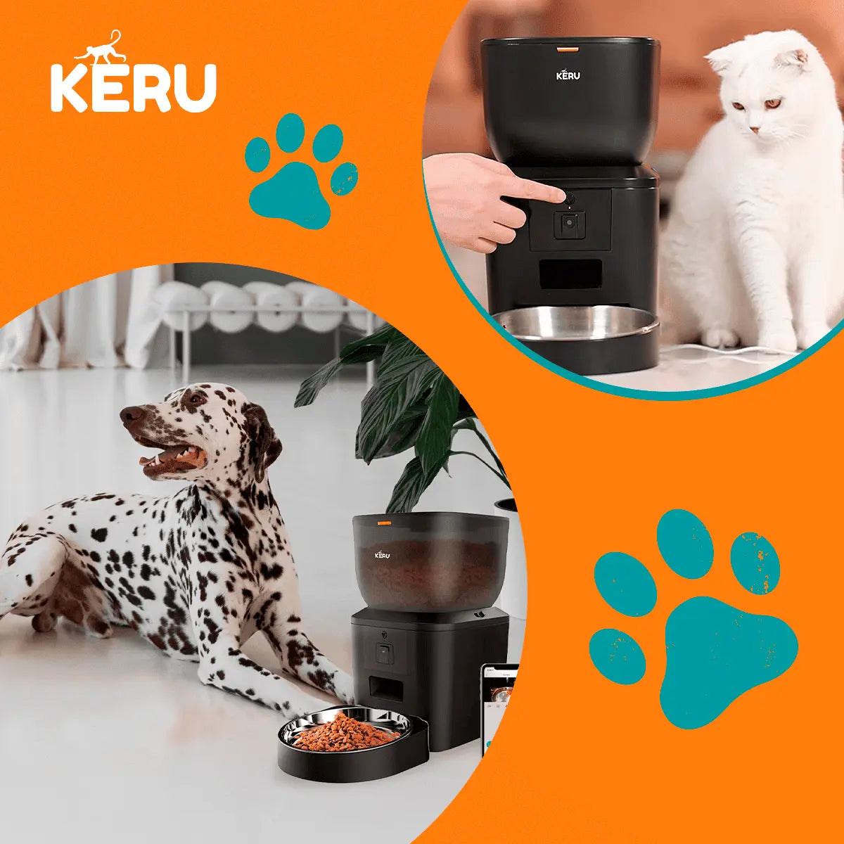 Comedero Automático Wifi Con Cámara Negro Keru