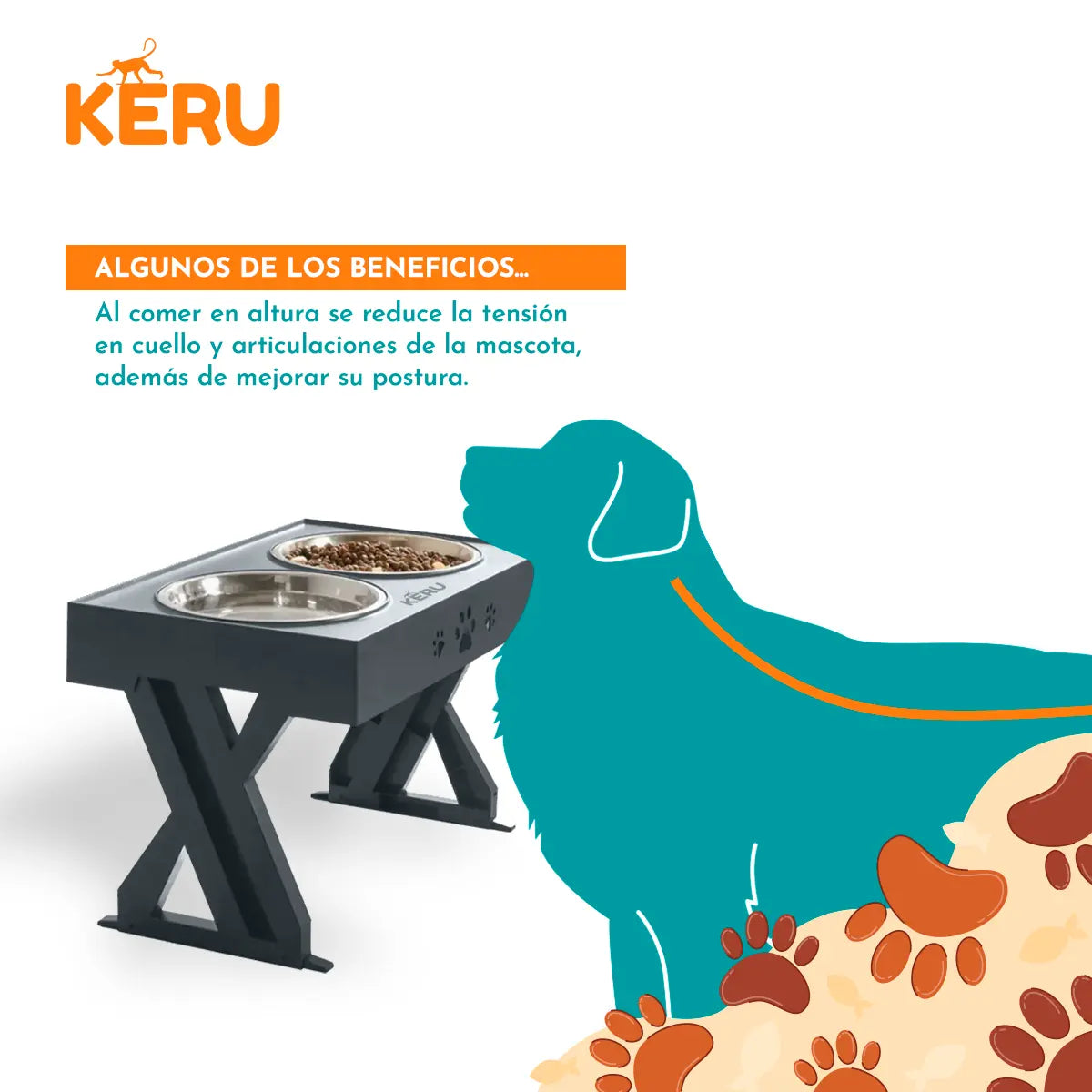 Comedero y Bebedero Para Perros con Altura Ajustable Gris Lernen