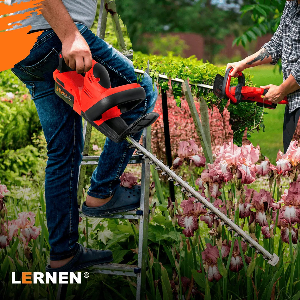 Corta Setos Inalámbrico A Batería XL Lernen Lernen