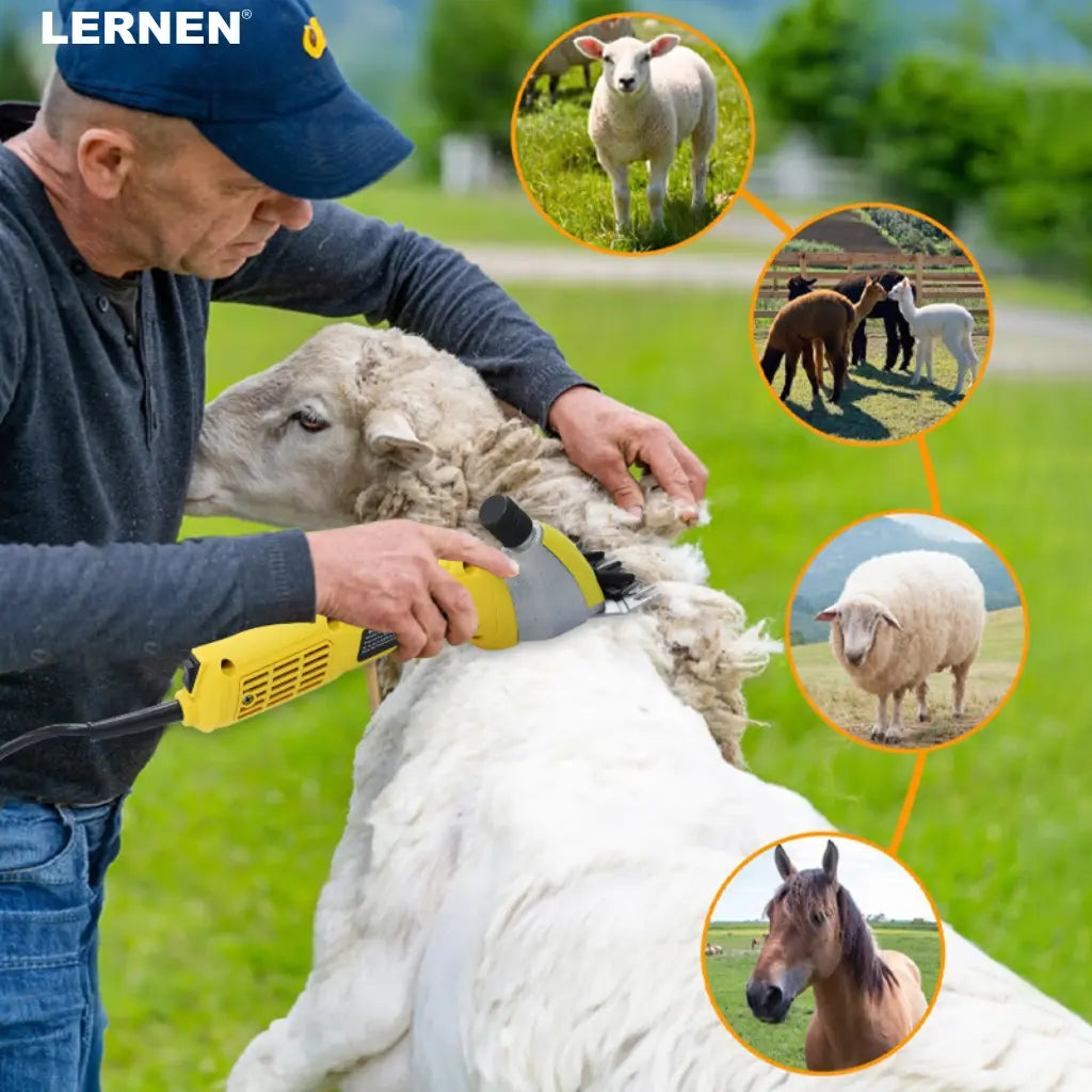 Esquiladora Eléctrica de Ovejas Lernen – 700W, 2800 RPM, 220 Lernen
