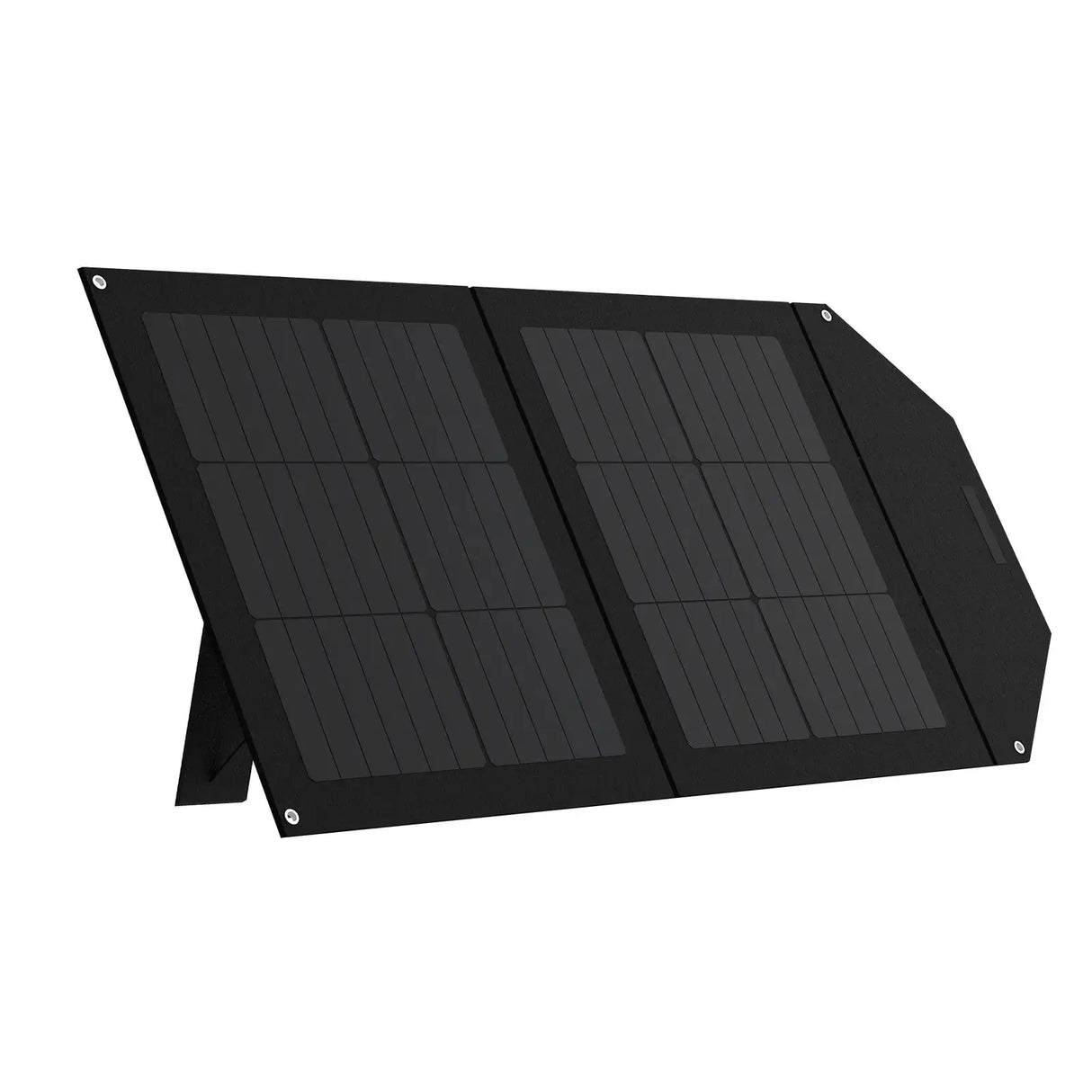 Panel solar para Estación De Energía SL100W Lernen