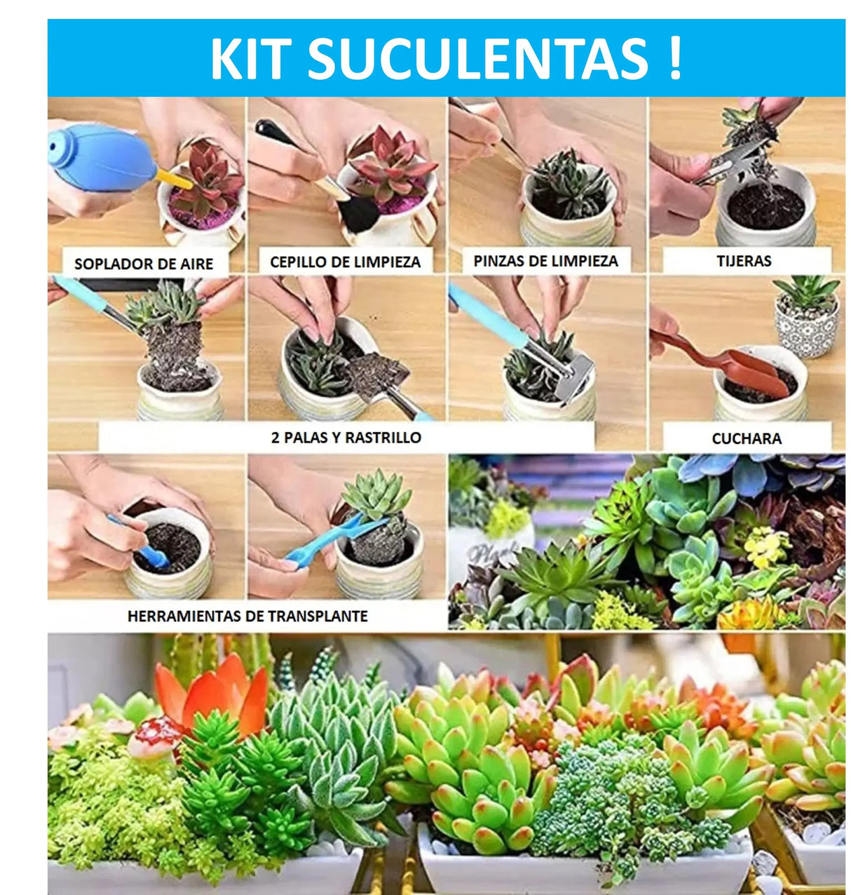 Set 62 Pcs Jardinería Pro De Todo Tipo - Suculentas - Jardín Lernen