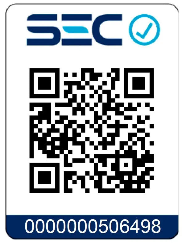 Kit Taladro Destornillador Inalámbrico LERNEN 21V + 2 Baterías + Acc Lernen