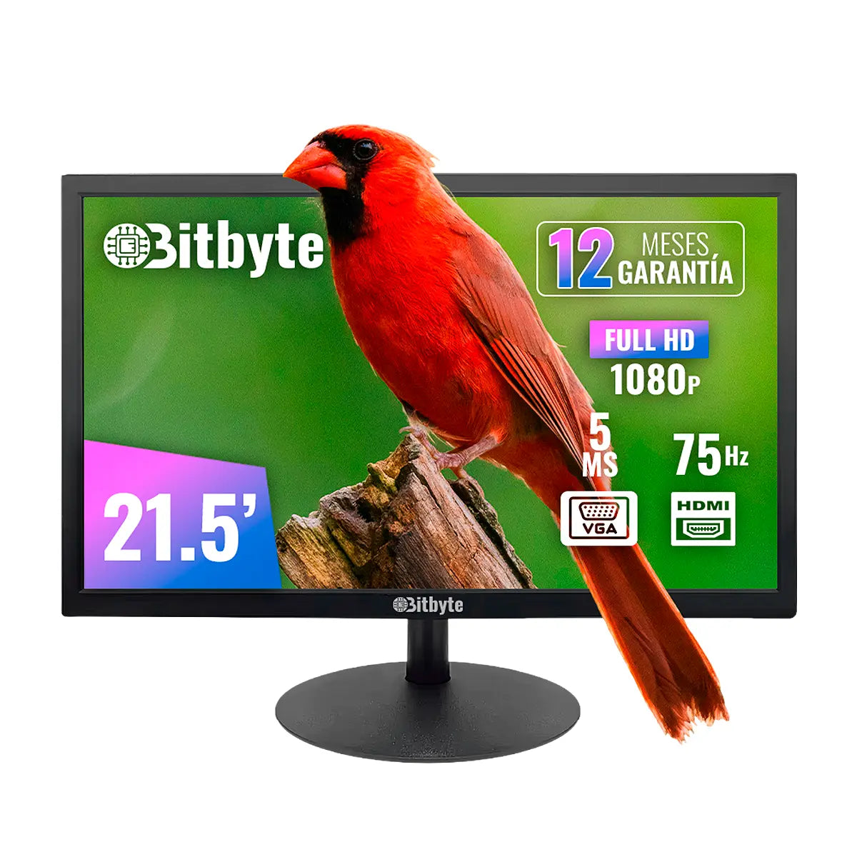 Monitor Bitbyte 21.5″ Full HD (1920×1080) Bitbyte