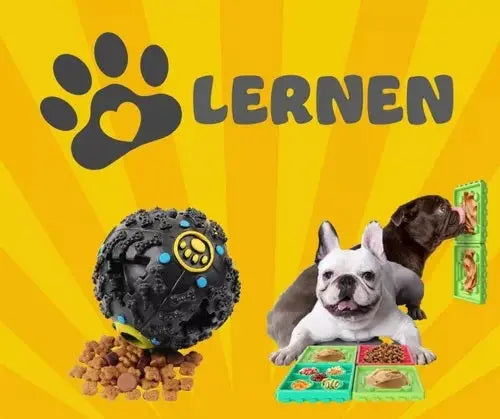 Zapatos Impermeables y Reflectantes Para Perros - Color Negro Keru