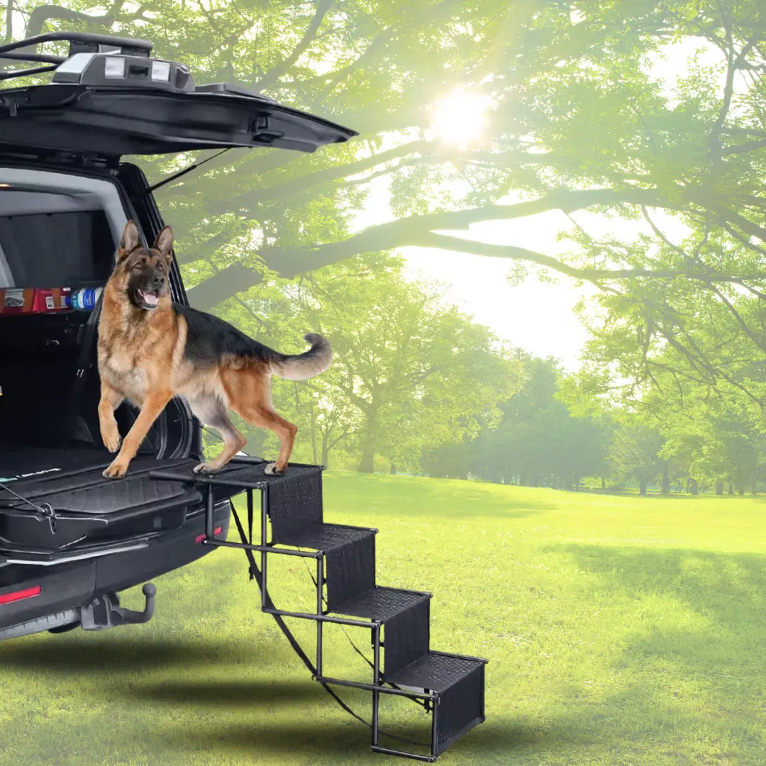 Escalera Para Perros Y Mascotas De 4 Peldaños Resistente Keru