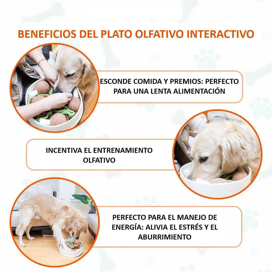 Juguete olfativo interactivo para mascotas - Pollo Chicken Keru