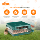 Incubadora Automática KERU 48 Huevos con Volteo, Control de Temperatura y Doble Alimentación