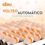 Incubadora Automática KERU 48 Huevos con Volteo, Control de Temperatura y Doble Alimentación