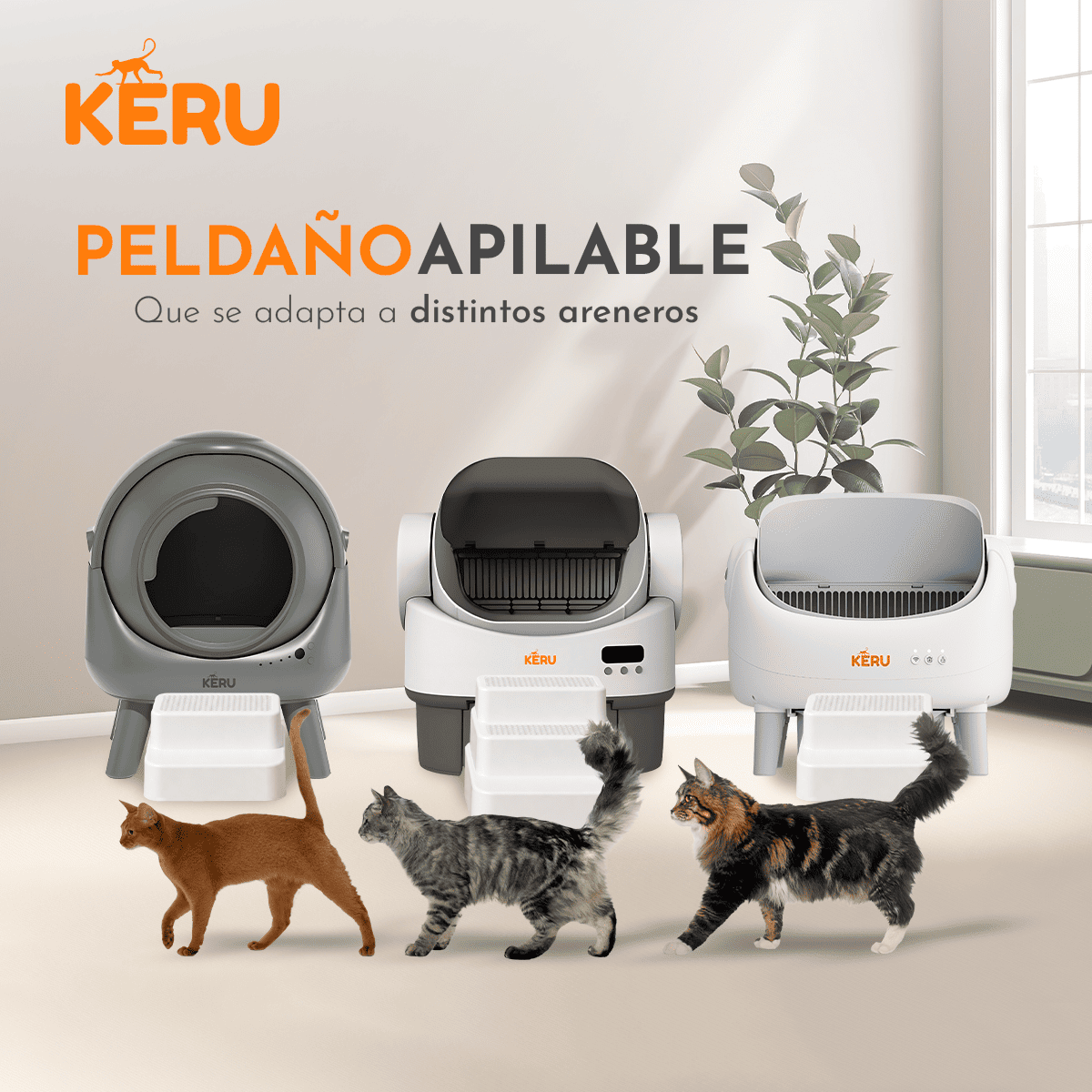 Escalera Para Arenero Gato KERU 3 Niveles Atrapa Arena