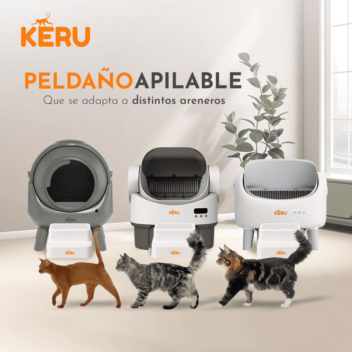 Escalera Para Arenero Gato KERU 2 Niveles Atrapa Arena