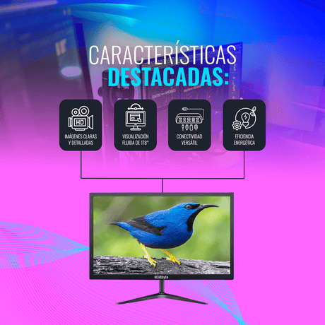Monitor Bitbyte 24″ Full HD (1920×1080)
