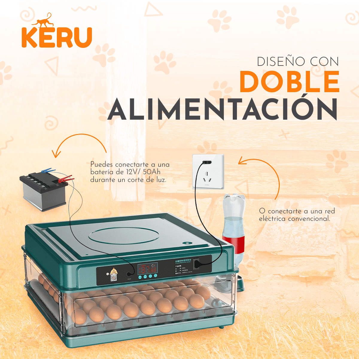 Incubadora Automática KERU 48 Huevos con Volteo, Control de Temperatura y Doble Alimentación