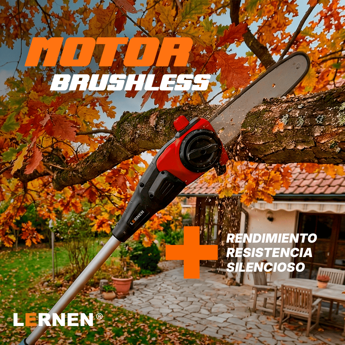 Motosierra Telescópica Inalámbrica Brushless Lernen