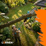 Motosierra Telescópica Inalámbrica Brushless Lernen