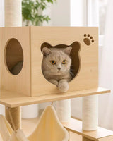 Castillo Rascador Para Gatos EC KERU Keru