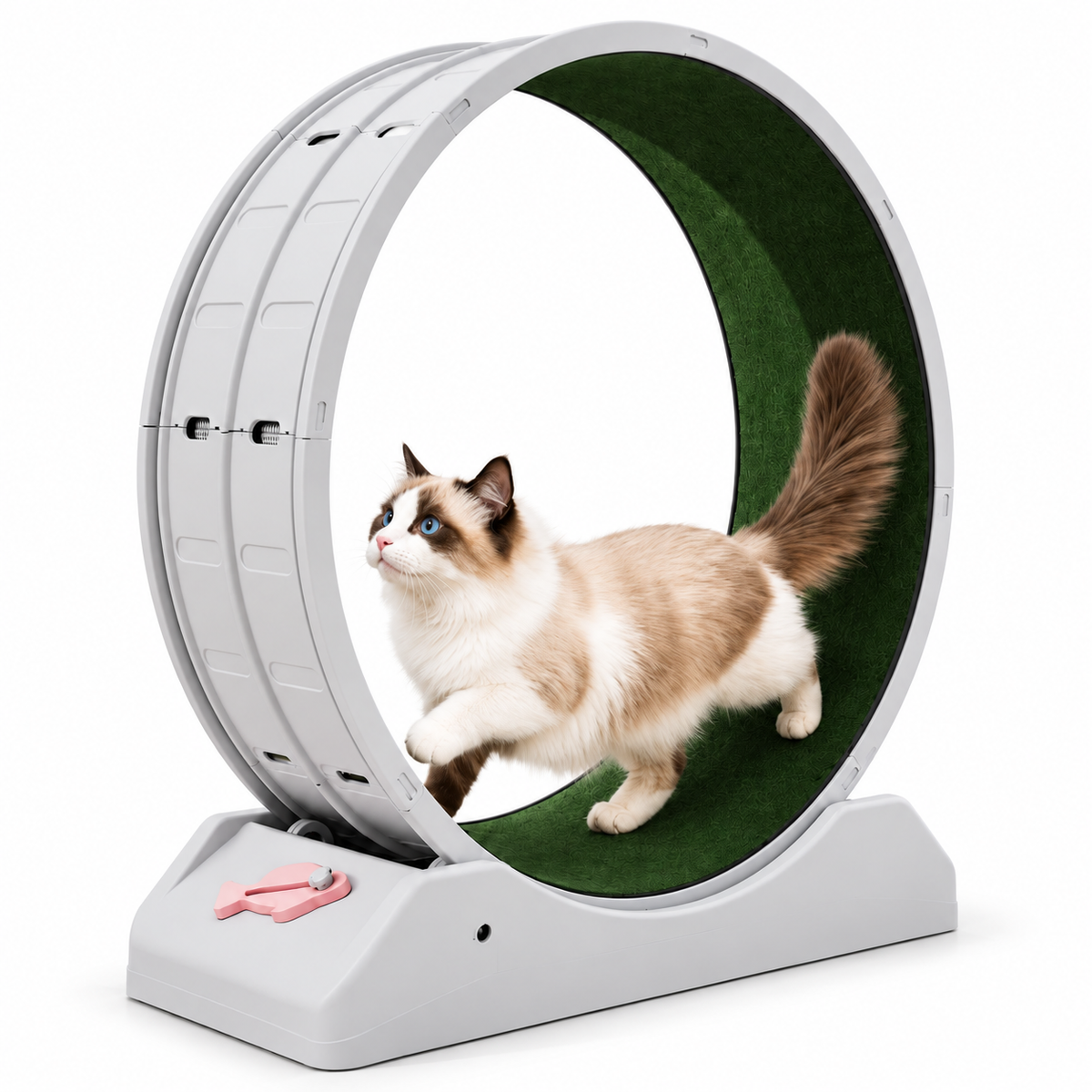 Rueda de ejercicio para Gatos Keru