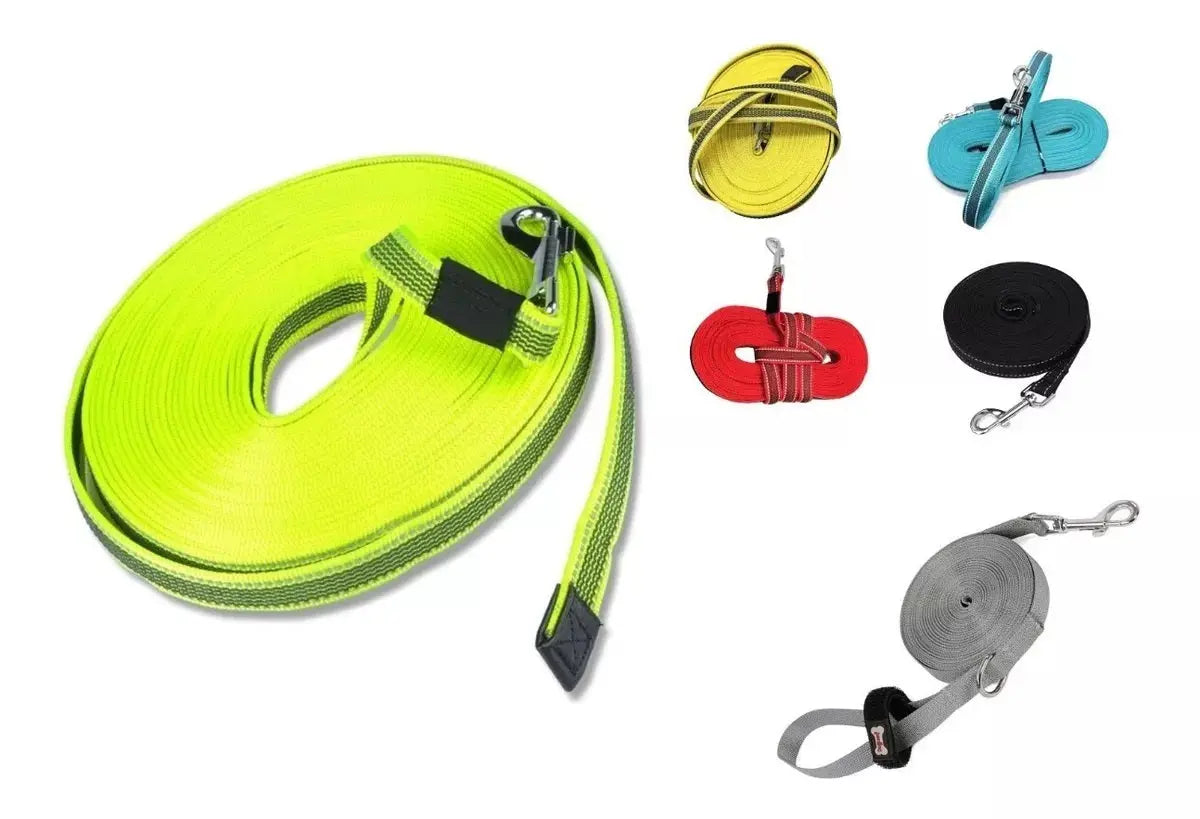 Correas Resistentes Para Perros 5 Metros - Colores