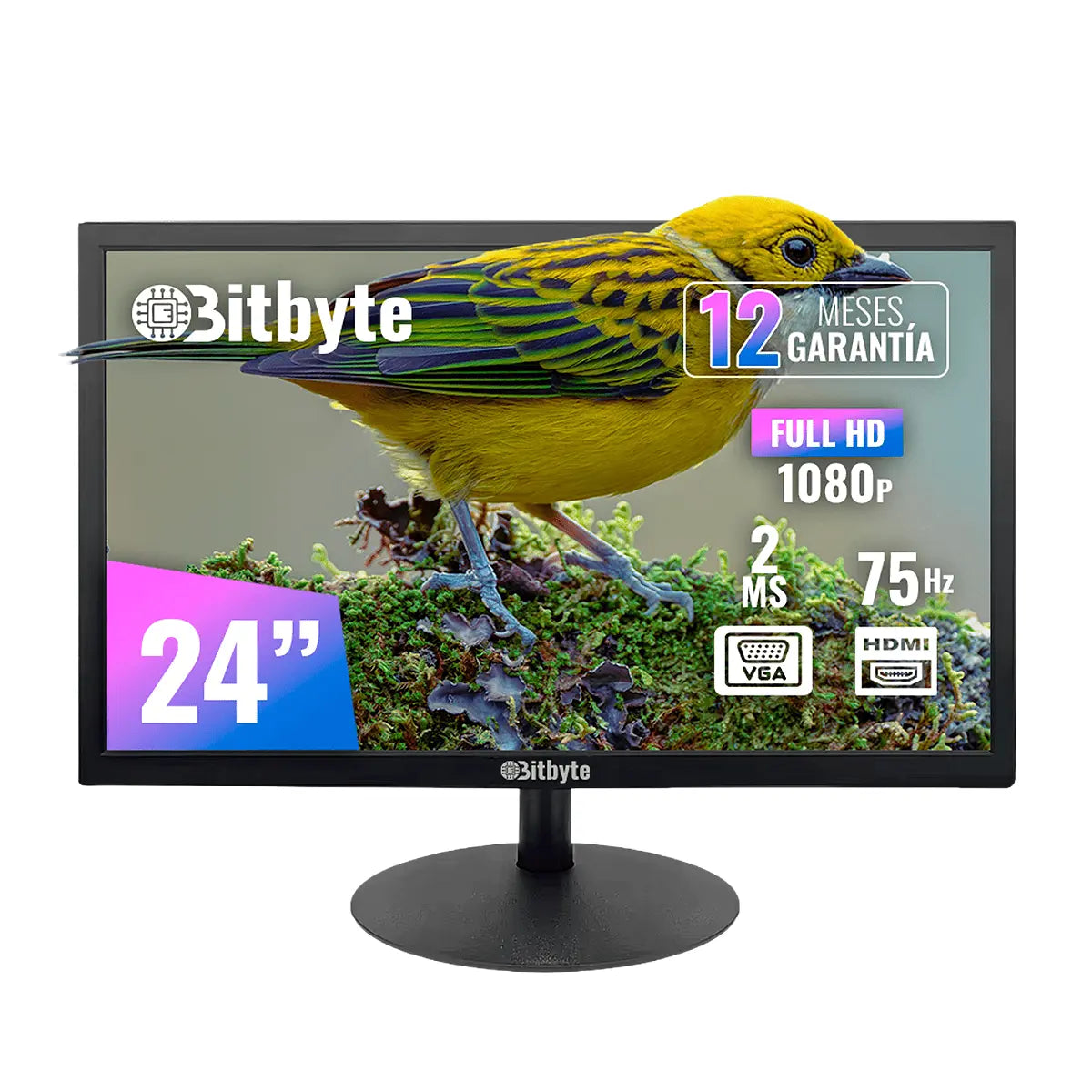 Bitbyte Monitor Bitbyte 24″ Full HD (1920×1080) - Tokstock