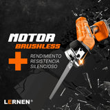 Sierra Sable Reciproca Inalámbrica Lernen Lernen