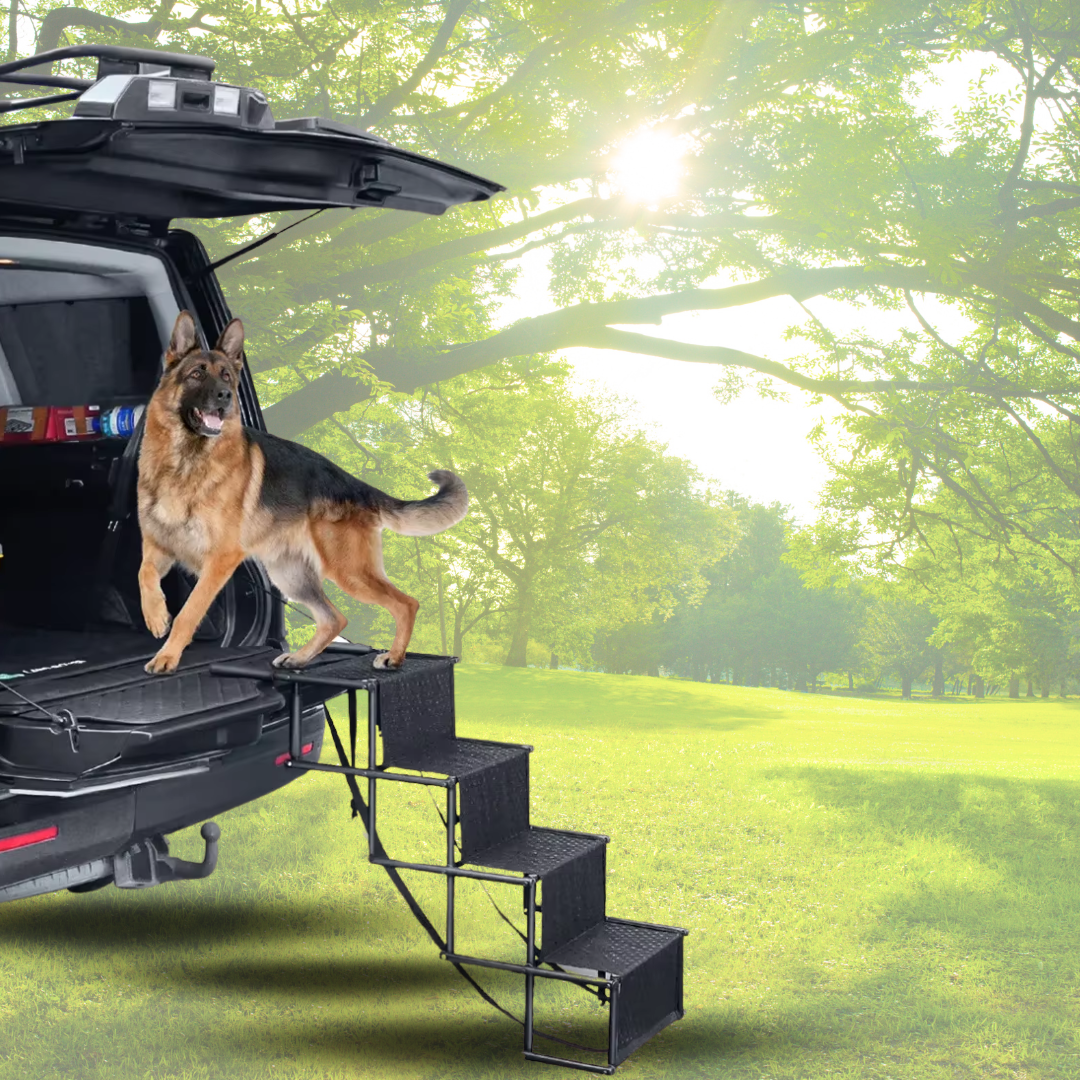 Escalera Para Perros Y Mascotas De 4 Peldaños Resistente